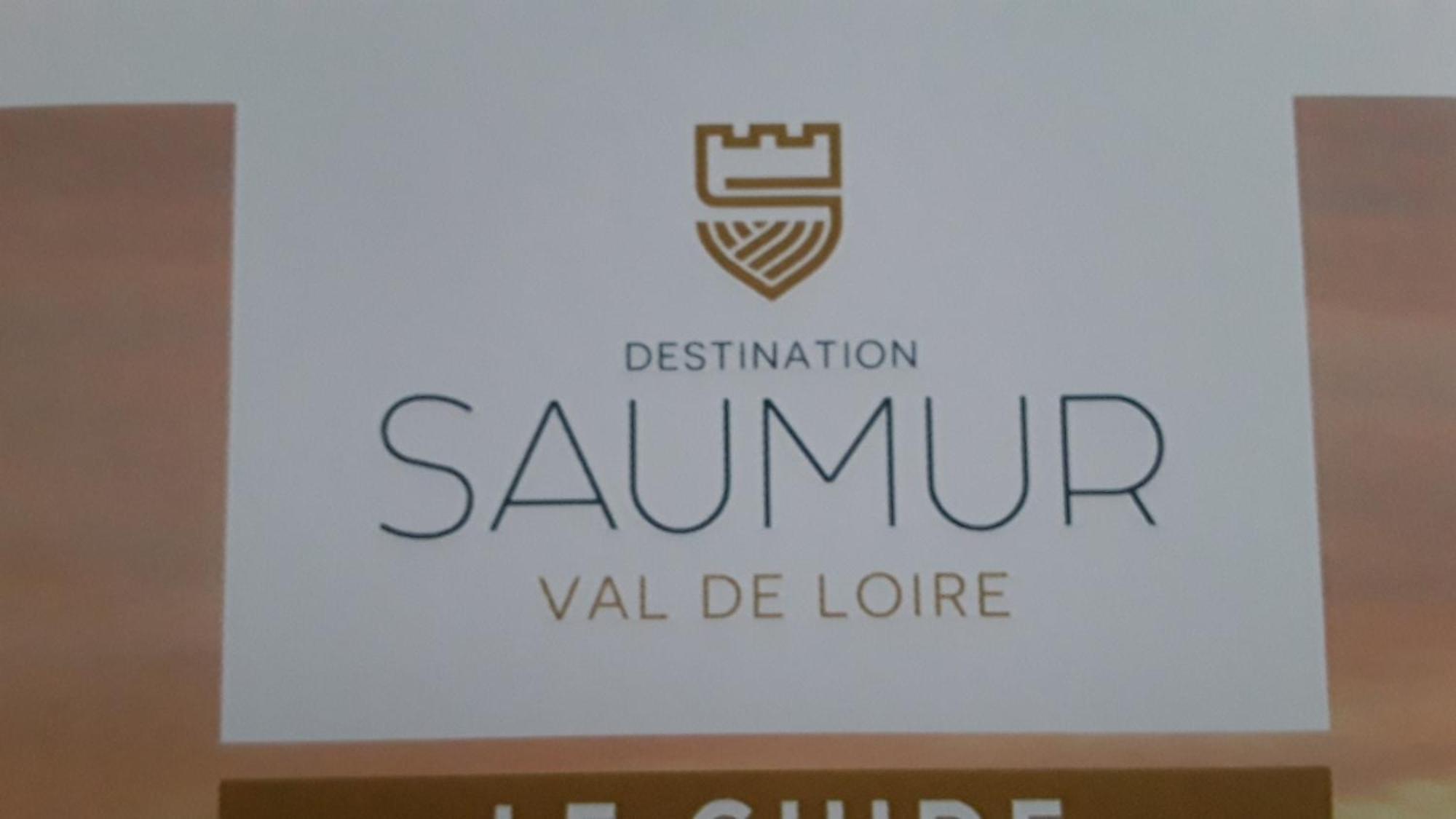 Chambres D'Hotes De L'Ile Du Saule Saumur Luaran gambar
